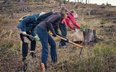 Ondřejník bude zase o něco zelenější, ruku k dílu mohou přidat i dobrovolníci