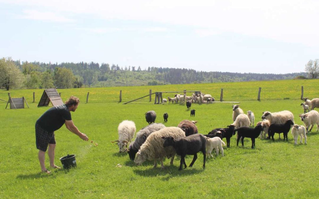 VIDEO: Česko-polská cesta po regionu přiblíží život na farmě