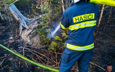 V Nových Heřminovech na Bruntálsku vzplanul les, na místě zasahovalo sedm jednotek hasičů