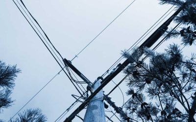 Energetici vyzývají k okleštění stromů pod vedením
