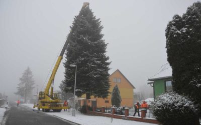 Rýmařovský vánoční strom už je na svém místě