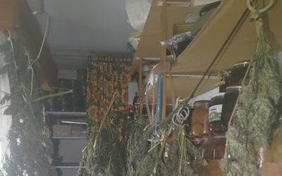 Bruntálští kriminalisté dopadli drogové dealery
