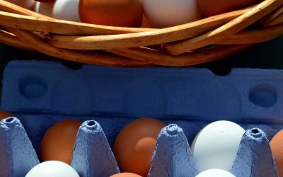 Za rekordně drahá vejce může ptačí chřipka a zdražování obchodních řetězců