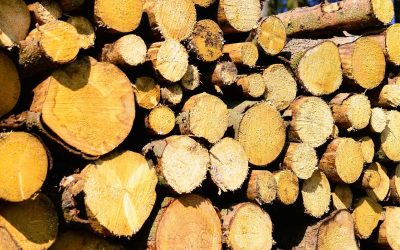 Vrbno pod Pradědem: Neznámý zloděj ukradl dřevo za 116 tisíc korun