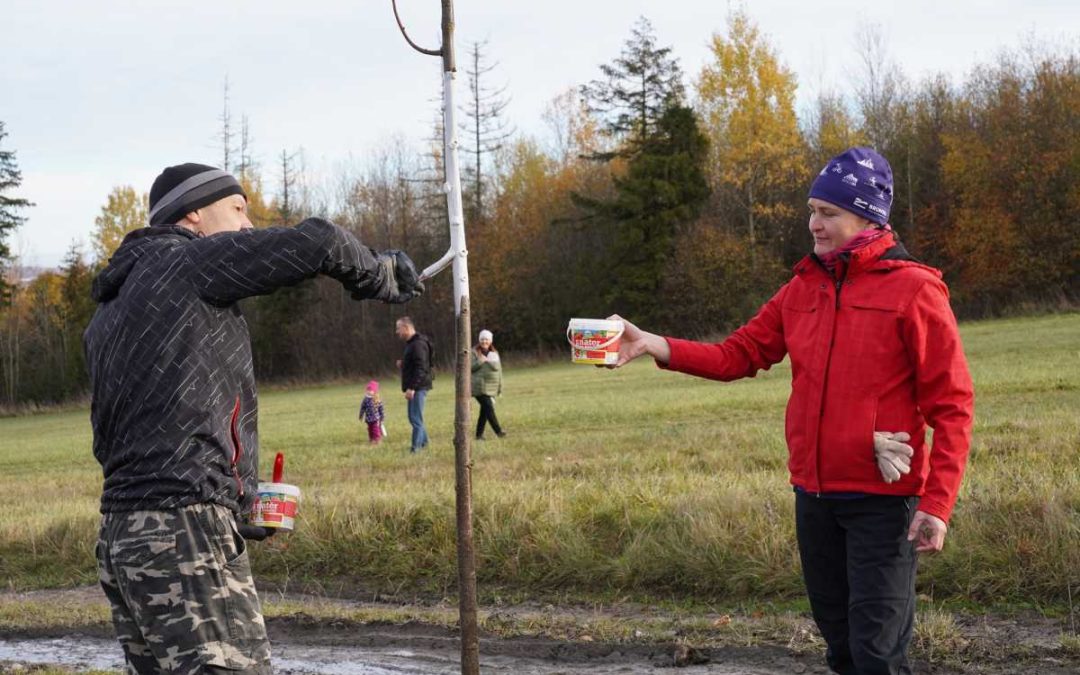 Nové stromořadí vedoucí na Uhlířský vrch je bohatší o další lípy