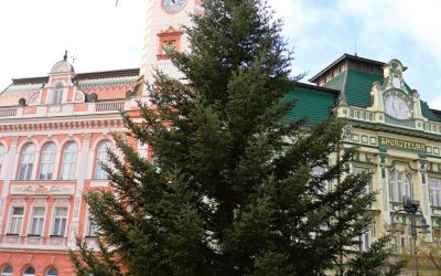 Krnov: Na Hlavním náměstí už stojí vánoční strom, rozsvítí se v neděli 3. prosince