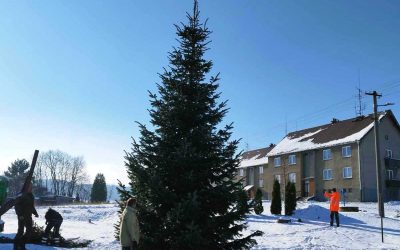 Liptaň: Vánoční strom už stojí na svém místě, rozsvítí se v sobotu