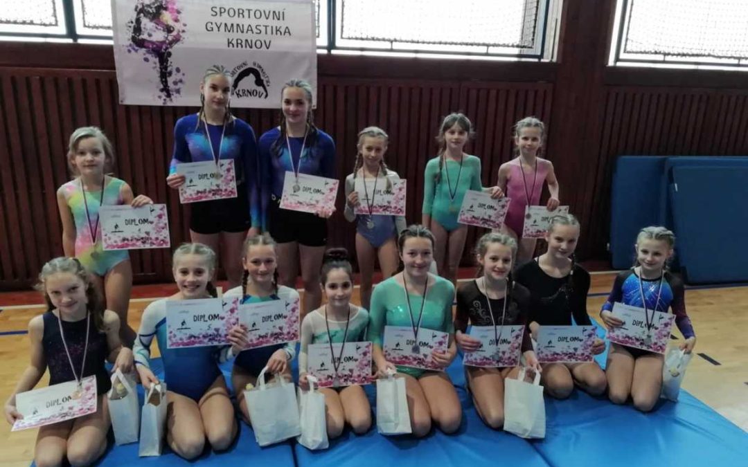 Sportovní gymnastika oživila halu v Krnově