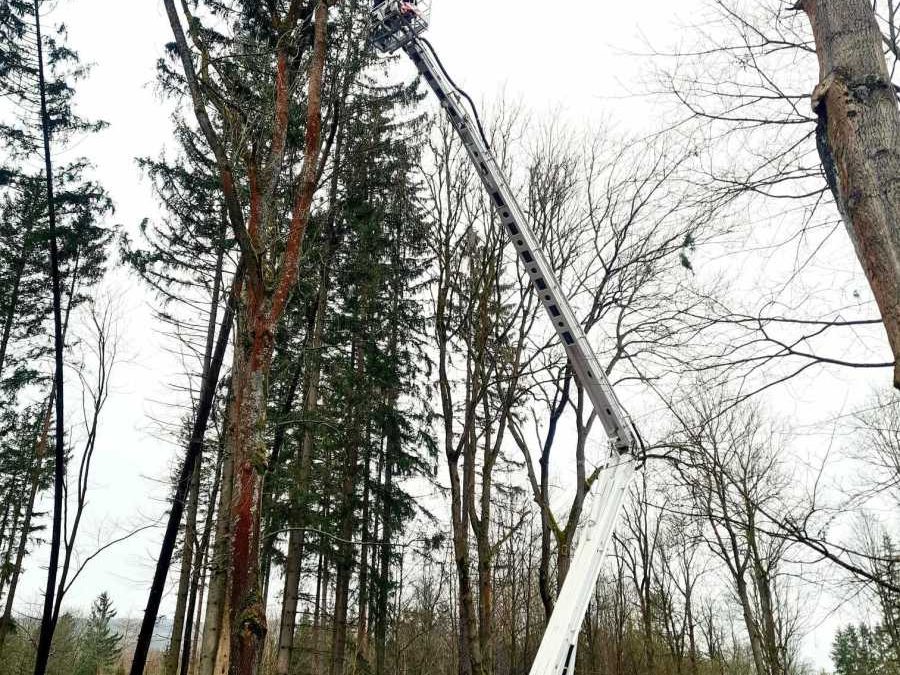 Vrbenští hasiči odstranili tři zaklíněné smrky