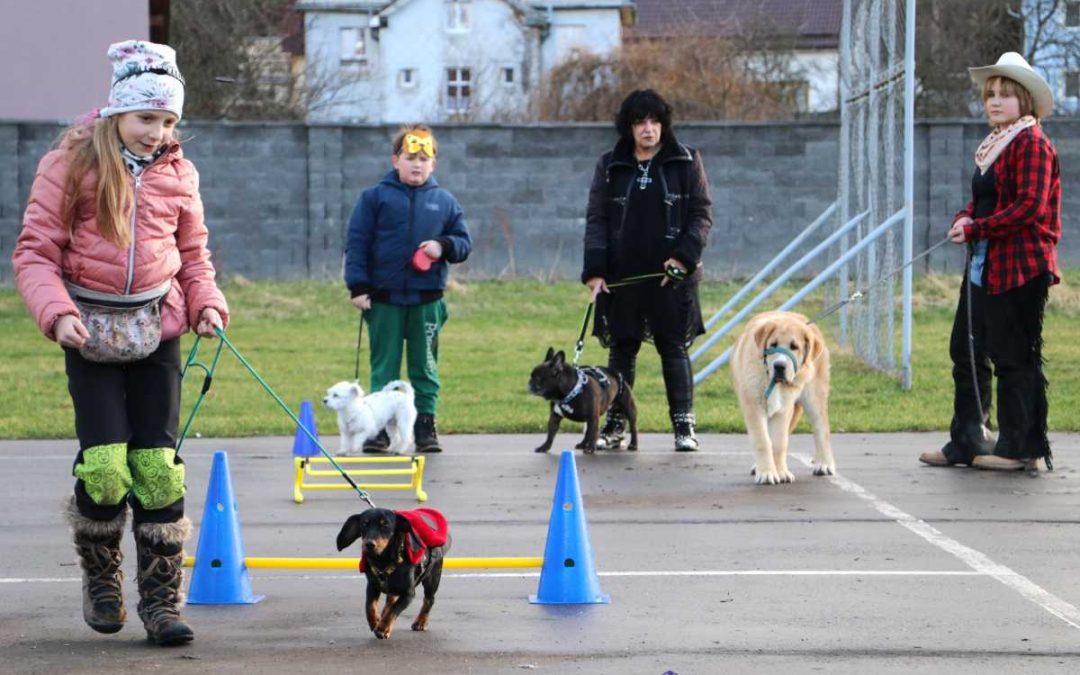 Psí karneval se vydařil