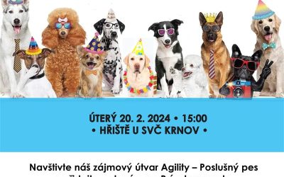 Přidejte se k psímu karnevalu