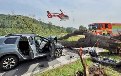 Česko snižuje úmrtnost na silnicích rychleji než průměr EU, loni v ČR zemřelo 43 lidí na milion obyvatel