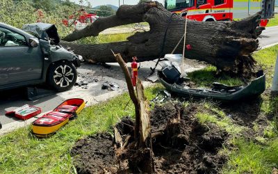 Ve Vrbně na auto spadl strom, těžce zraněného muže transportoval vrtulník