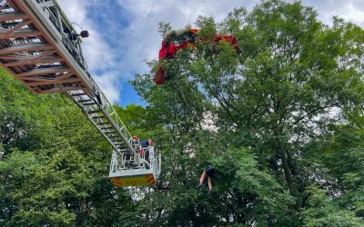 Paraglidistka neplánovaně přistála na vysokém stromě, sundali ji hasiči