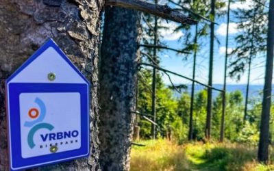 Červený trail vrbenského bikeparku je dočasně nesjízdný!