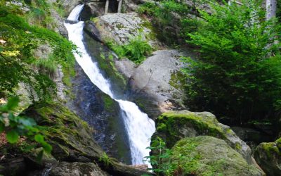 Rýmařovsko: Uzavření turistických tras na Rešovské vodopády