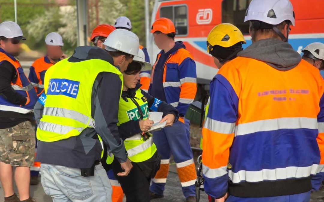 Cizinecká policie zjistila při kontrolách nelegální pobyty i práce