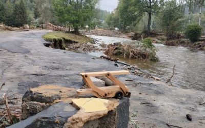 Krnovsko: Průlehy, louky a nová výsadba by měly pomoci zadržet vodu v krajině