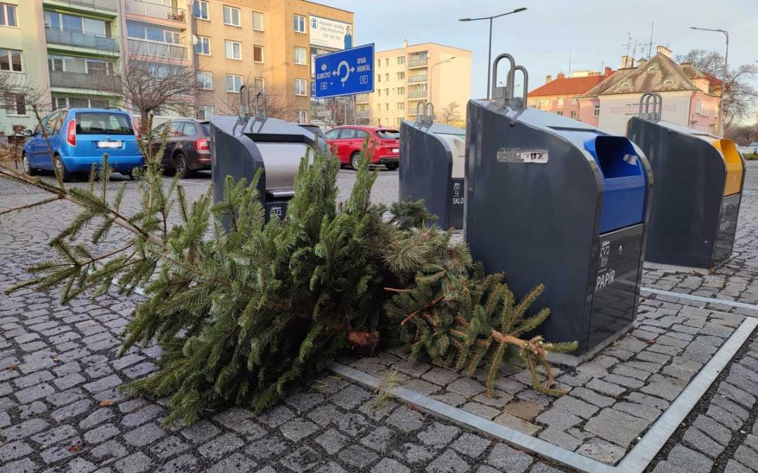 Krnov: Vánoční stromky poslouží jako palivo