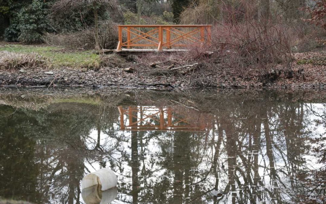 Krnov: Po povodni čeká Chářovský park postupná obnova