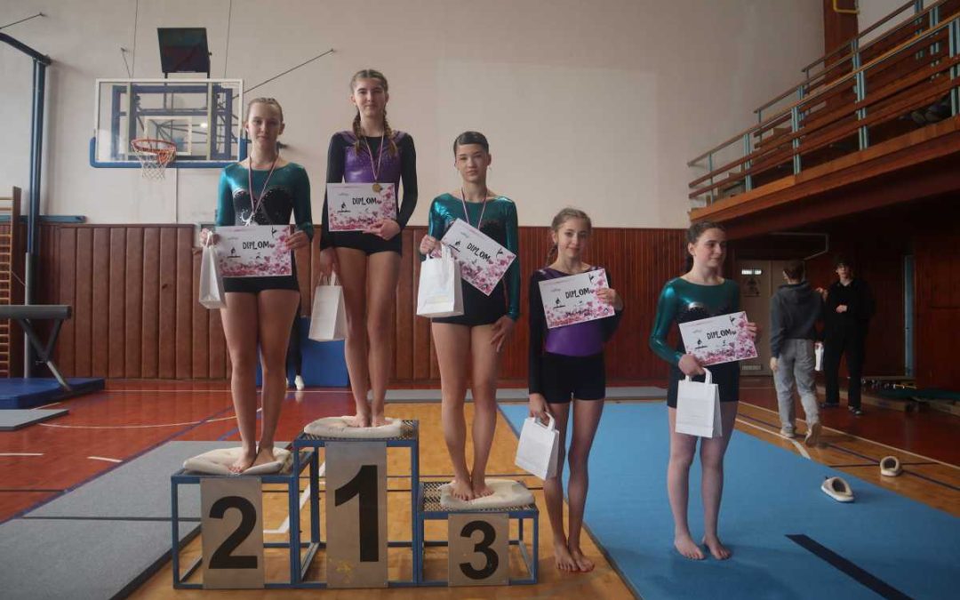 Gymnastické sestavy opět nadchly diváky v Krnově