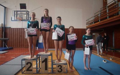 Gymnastické sestavy opět nadchly diváky v Krnově