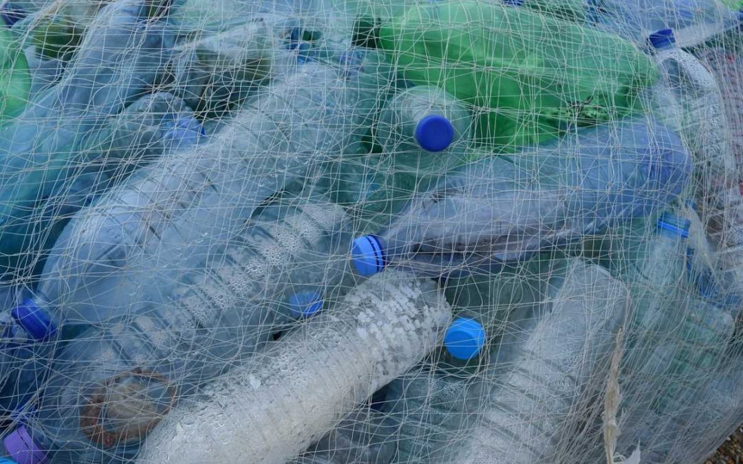 ČR: Češi platí přes 1,5 miliardy korun ročně za to, že v Česku neexistuje zálohování PET lahví a plechovek