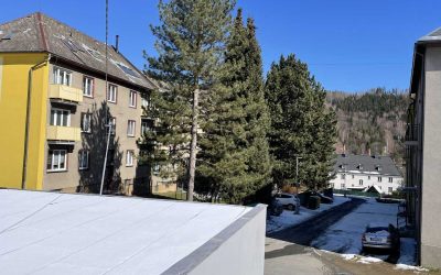 Vrbno pod Pradědem: Proběhne kácení dřevin na ul. Ve Svahu