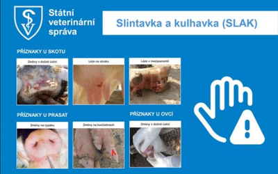 Informace k možnému šíření slintavky a kulhavky