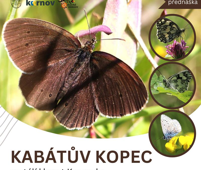 Objevte jedinečné bohatství Kabátova kopce v Krnově