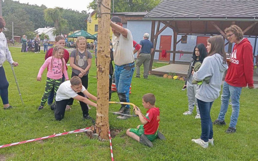 Dívčí Hrad: Kácení s napětím, odměnou i sladkou tečkou