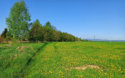 V Bruntále vznikne nová zahrádkářská osada