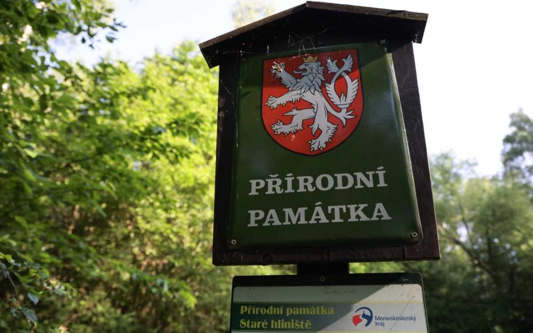 Na Starém hliništi hrozí pád stromů