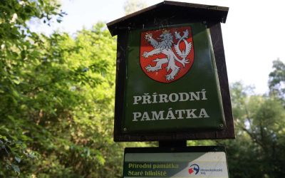 Na Starém hliništi hrozí pád stromů