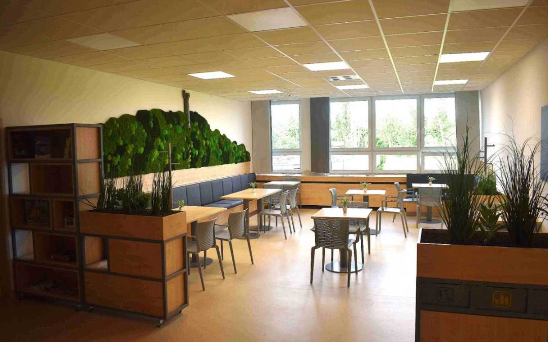Bufet v krnovské nemocnici zdobí kopec Cvilín z mechu i s rozhlednou