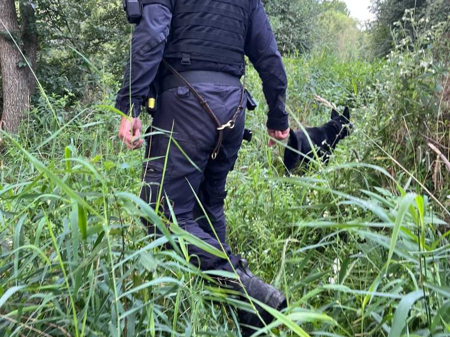 Bruntálsko: Desítky policistů pátraly po pohřešovaném muži, vzlétl i vrtulník