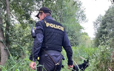 Bruntálsko: Desítky policistů pátraly po pohřešovaném muži, vzlétl i vrtulník