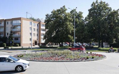 Krnov: Ostrůvek v Revoluční ulici rozkvetl