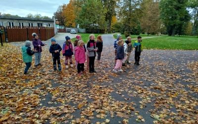 Podzim v pohybu: Ježečci z Jedničky závodí o radost