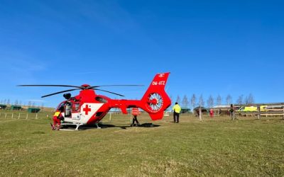 Ženu na Opavsku vážně zranil kůň