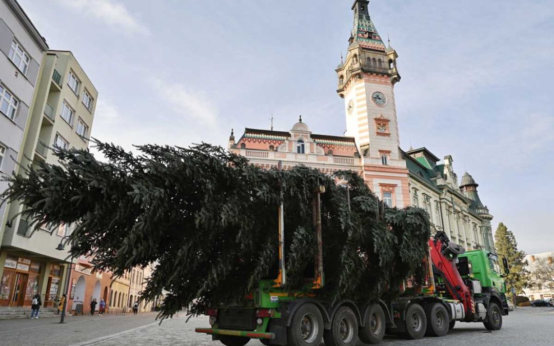 Vánoční strom dorazil na krnovské náměstí, rozsvítí se 30. listopadu