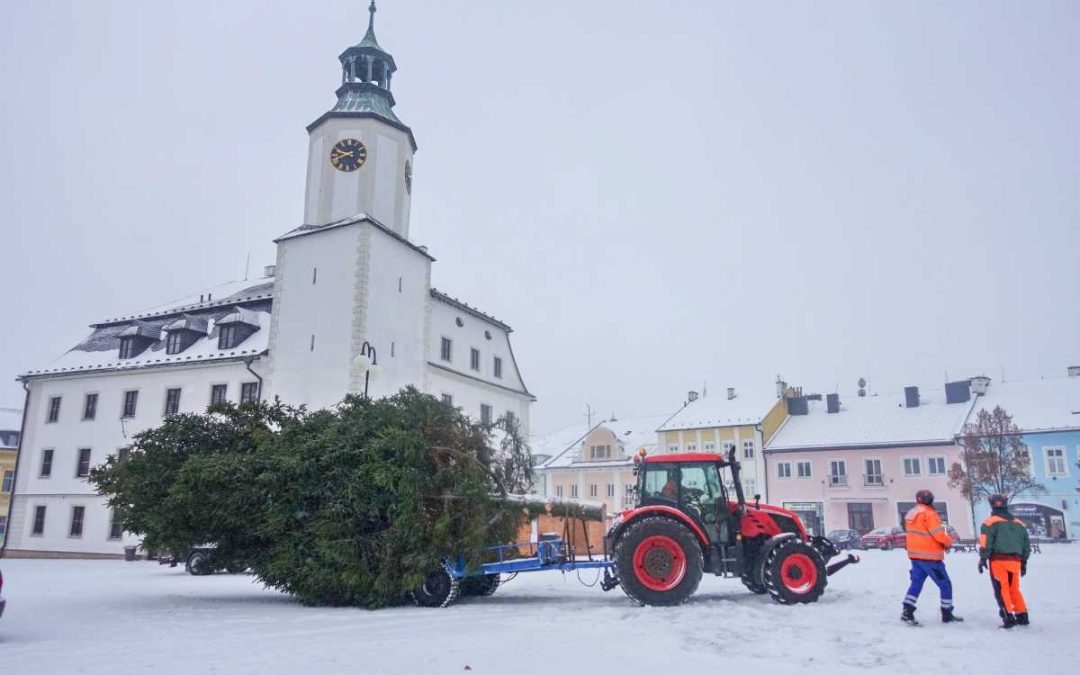 Rýmařov: Vánoční strom je na svém místě