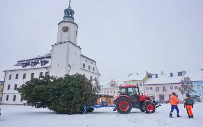 Rýmařov: Vánoční strom je na svém místě