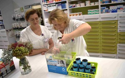 Kasička Kapky naděje: klienti nemocniční lékárny byli štědří