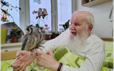 Krnov: Kouzelná návštěva soviček v Domově