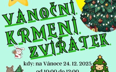 Vánoční krmení zvířátek: společné čekání na Ježíška