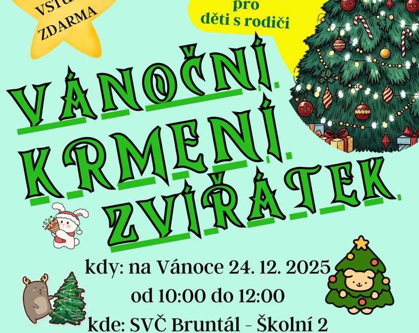 Vánoční krmení zvířátek: společné čekání na Ježíška