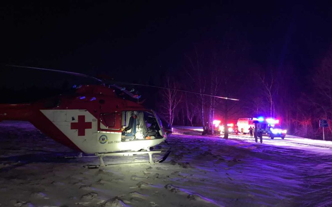 Na Opavsku narazilo auto do stromu, řidič byl v ohrožení života
