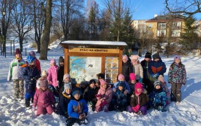 Zimní ptáčci na Jedničce: povídání, tvoření i návštěva krmítka