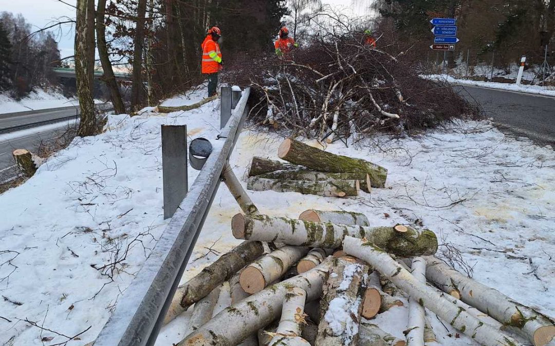 ŘSD při zimní údržbě prořezává stromy, které by mohly ohrozit provoz